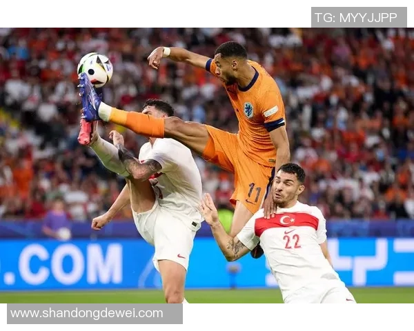 芬兰足球球星风采：从绿茵场到国际赛场的荣耀与梦想