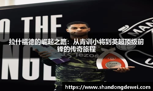 BG大游官网